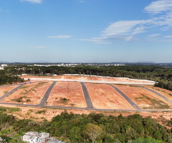 WhatsApp Image 2024-08-12 at 16.19.33 (3)