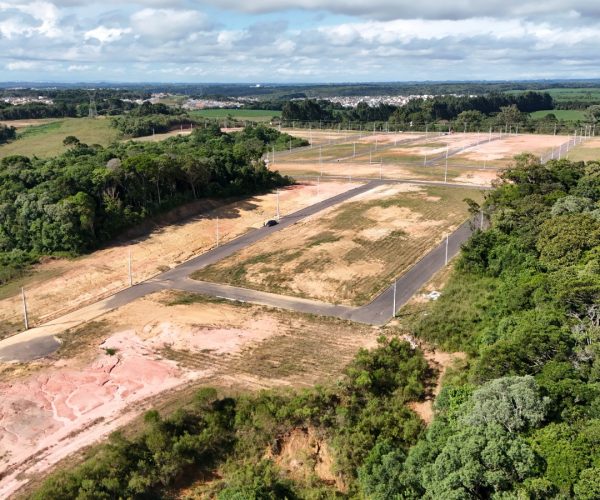 WhatsApp Image 2024-08-12 at 17.14.55