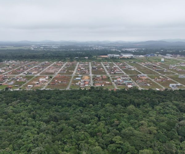 WhatsApp Image 2024-10-11 at 16.44.44 (1)